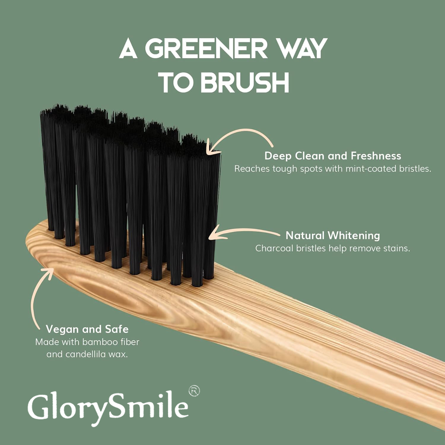 Cepillos de dientes de bambú p - Bamboo Toothbrush reseña y precio