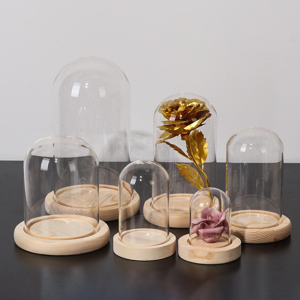 Luces de hadas, plantas, botel - Reusable Bottle reseña y precio